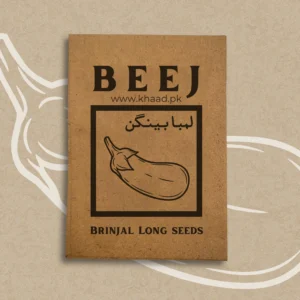 Brinjal long seeds shop now