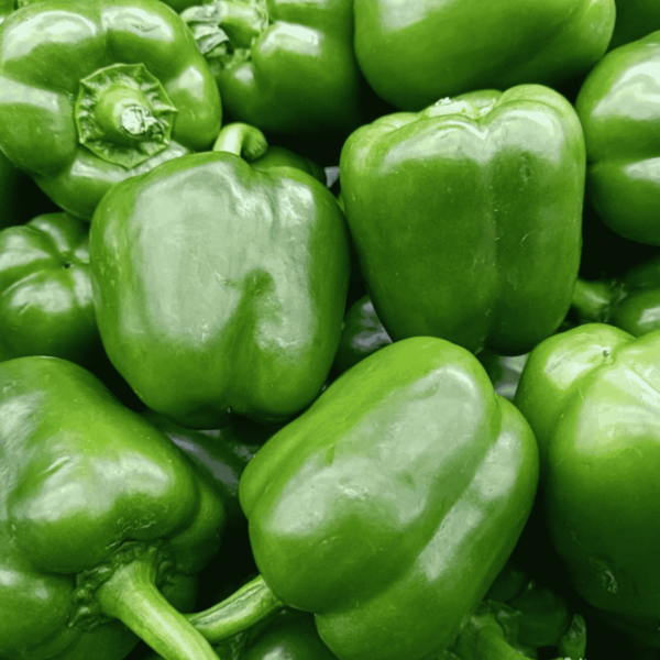 Capsicum Seeds in pakistan
