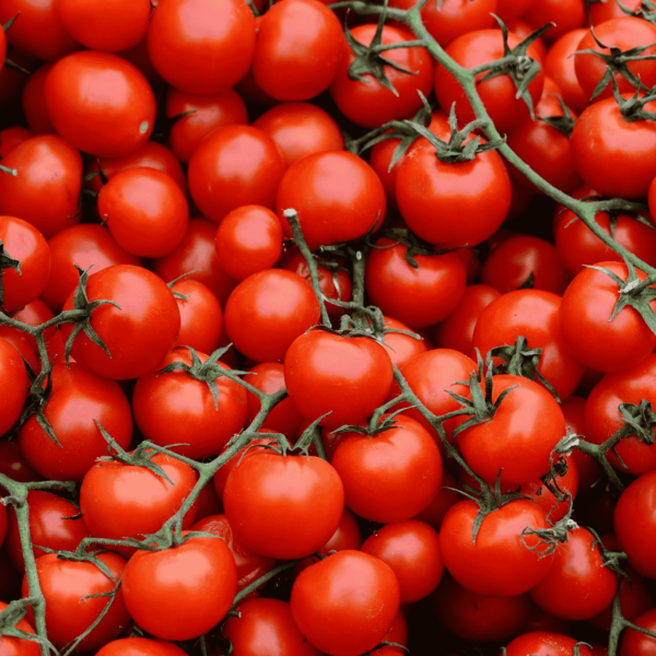 Cherry Tomatoes Seeds in pakistan