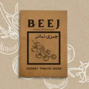 Cherry tomato seeds(beej) khaad.pk