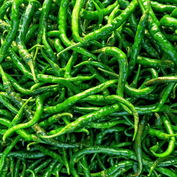 Green Chili Seeds