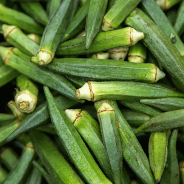 Ladyfinger (Okra) in pakistan khaad.pk