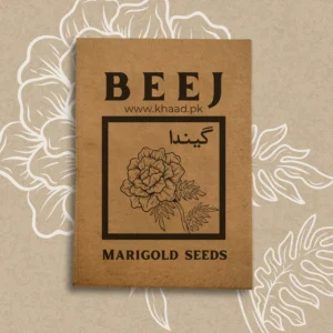 Marigold seeds in pakistan