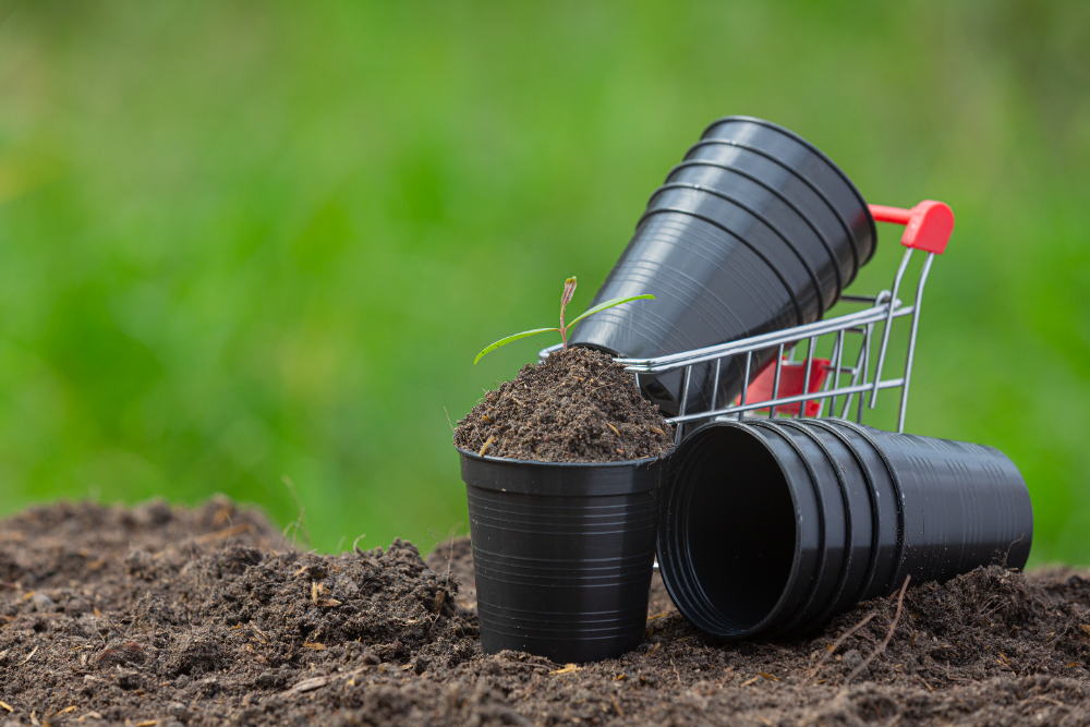 Organic vs. Chemical Fertilizers