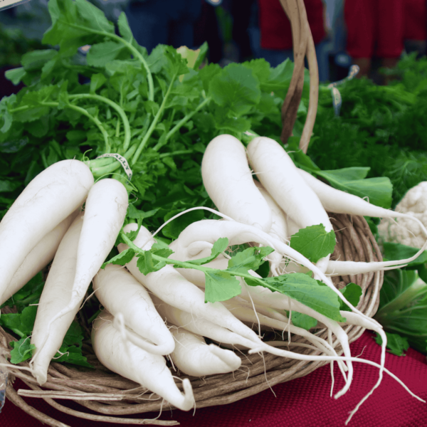 Radish seeds (Moli Beej) in pakistan