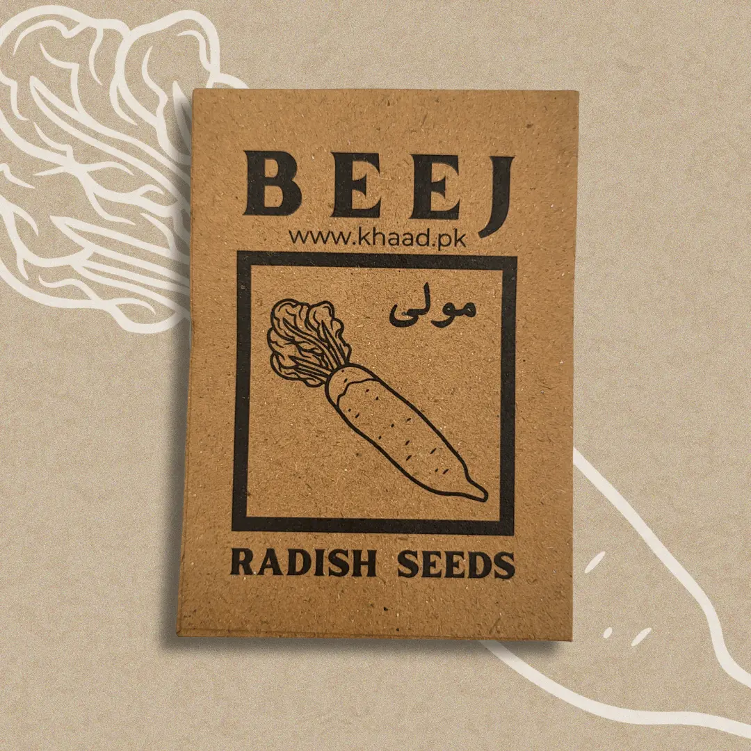 Radish seeds (Moli) Special Khaad.pk beej