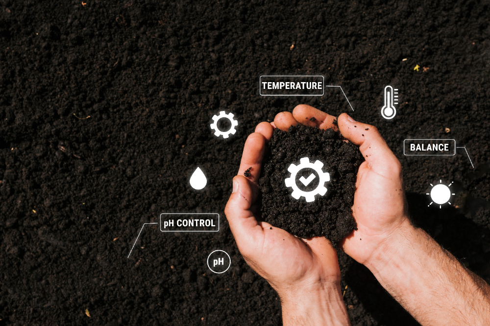 Soil Improvement in pakistan