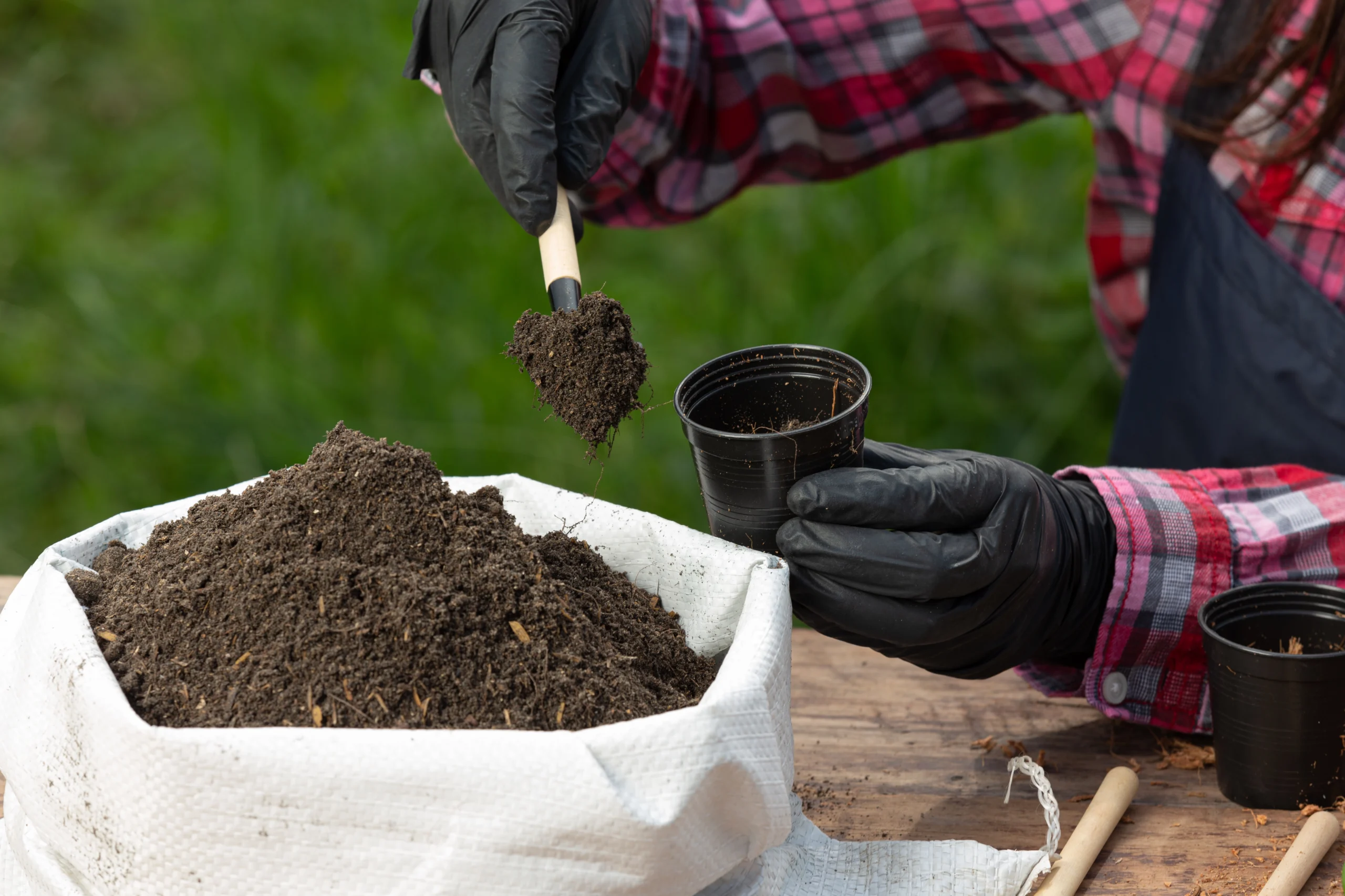 Soil-improvement-in-pakistan