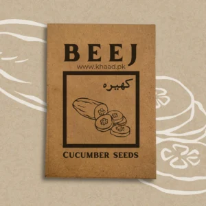 buy cucumber seeds near me