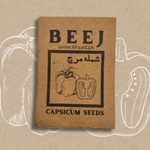 capsicum seeds in lahore