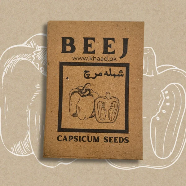 capsicum seeds in lahore