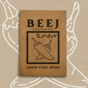 green chili seeds