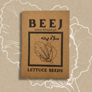 lettuce seeds in pakistan khaad.pk