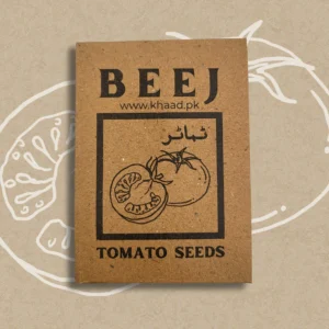 tomato seeds