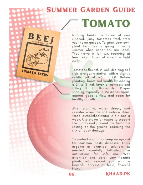 Tomato-Production-technology-home-grown-khaadpk