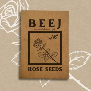 Rose-seeds-Ghulab-beej-lahore-pakistan-flowers