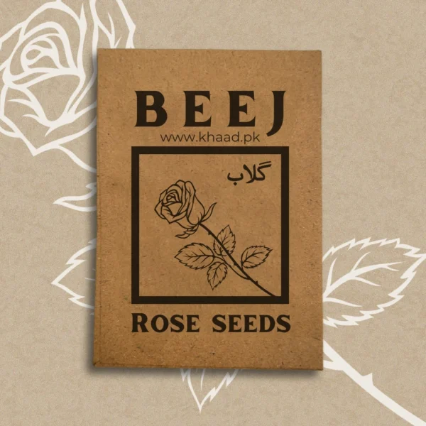 Rose-seeds-Ghulab-beej-lahore-pakistan-flowers