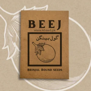 Brinjal-round-seeds-pack-buy-online