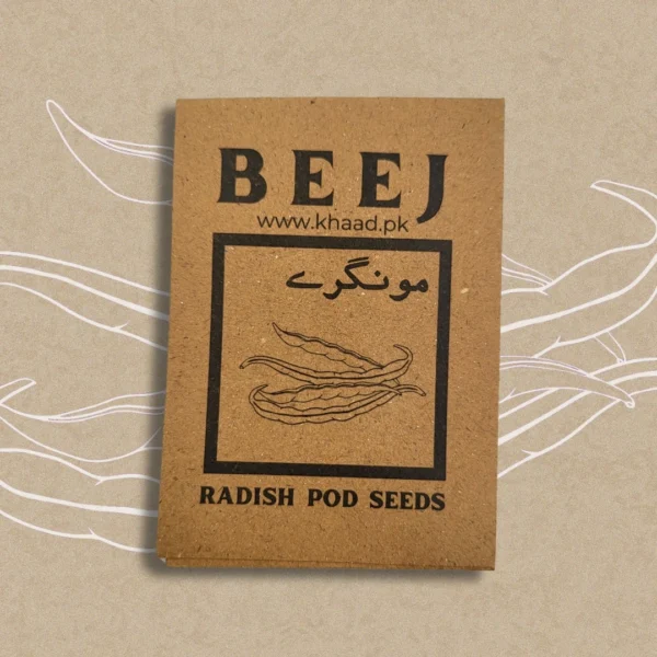 Radish-pod-seeds-for-kitchen-gardening
