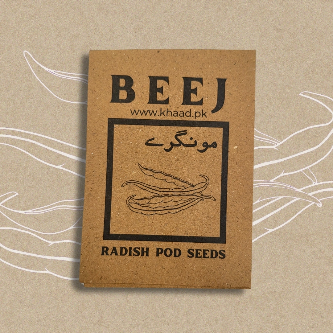 Radish-pod-seeds-for-kitchen-gardening