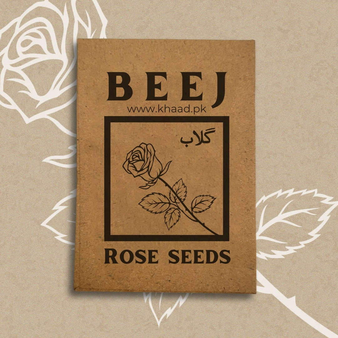 Rose-seeds-Ghulab-beej-lahore-pakistan-flowers