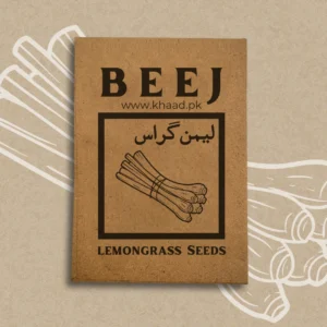 Lemongrass-seeds-for-home-gardeners-pakistan