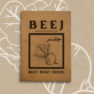 buy-beet-root-seeds-pack-khaadpk