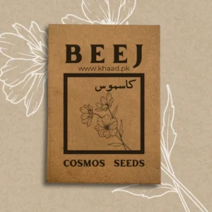 cosmos-flower-seeds-pack-for-home-gardens