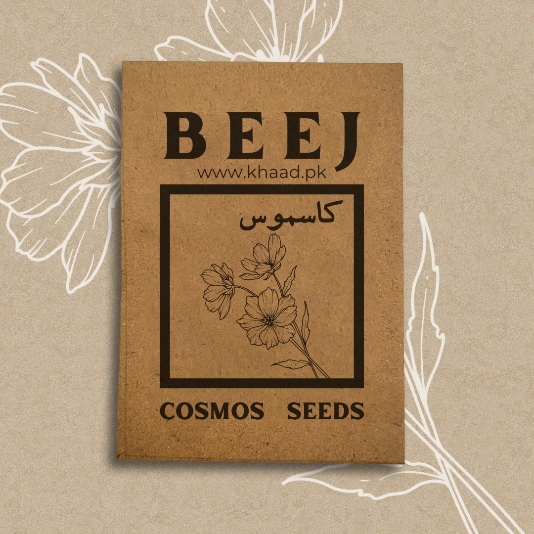 cosmos-flower-seeds-pack-for-home-gardens