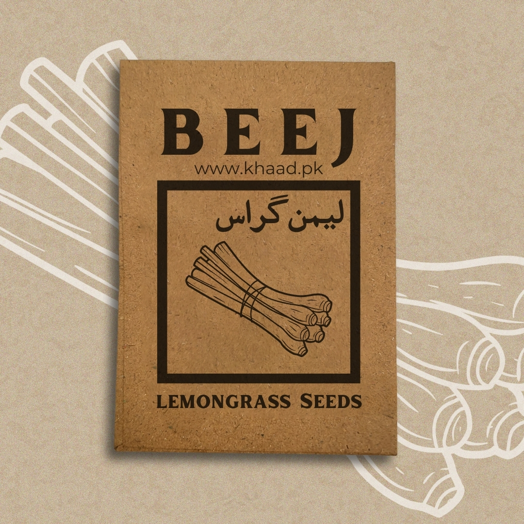 Lemongrass-seeds-for-home-gardeners-pakistan