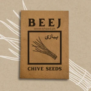 Chive-Herb-Seeds-Pack-lahore-pakistan