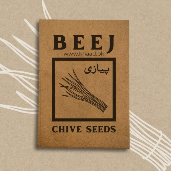 Chive-Herb-Seeds-Pack-lahore-pakistan