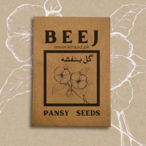 Pansy-flowers-seed-pack-for-home-gardening-lahore