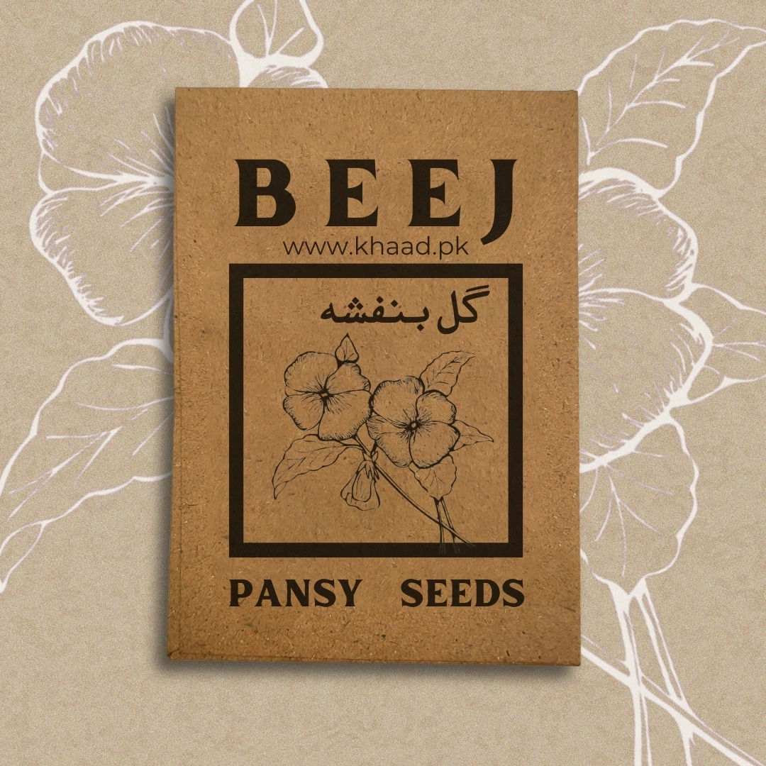 Pansy-flowers-seed-pack-for-home-gardening-lahore