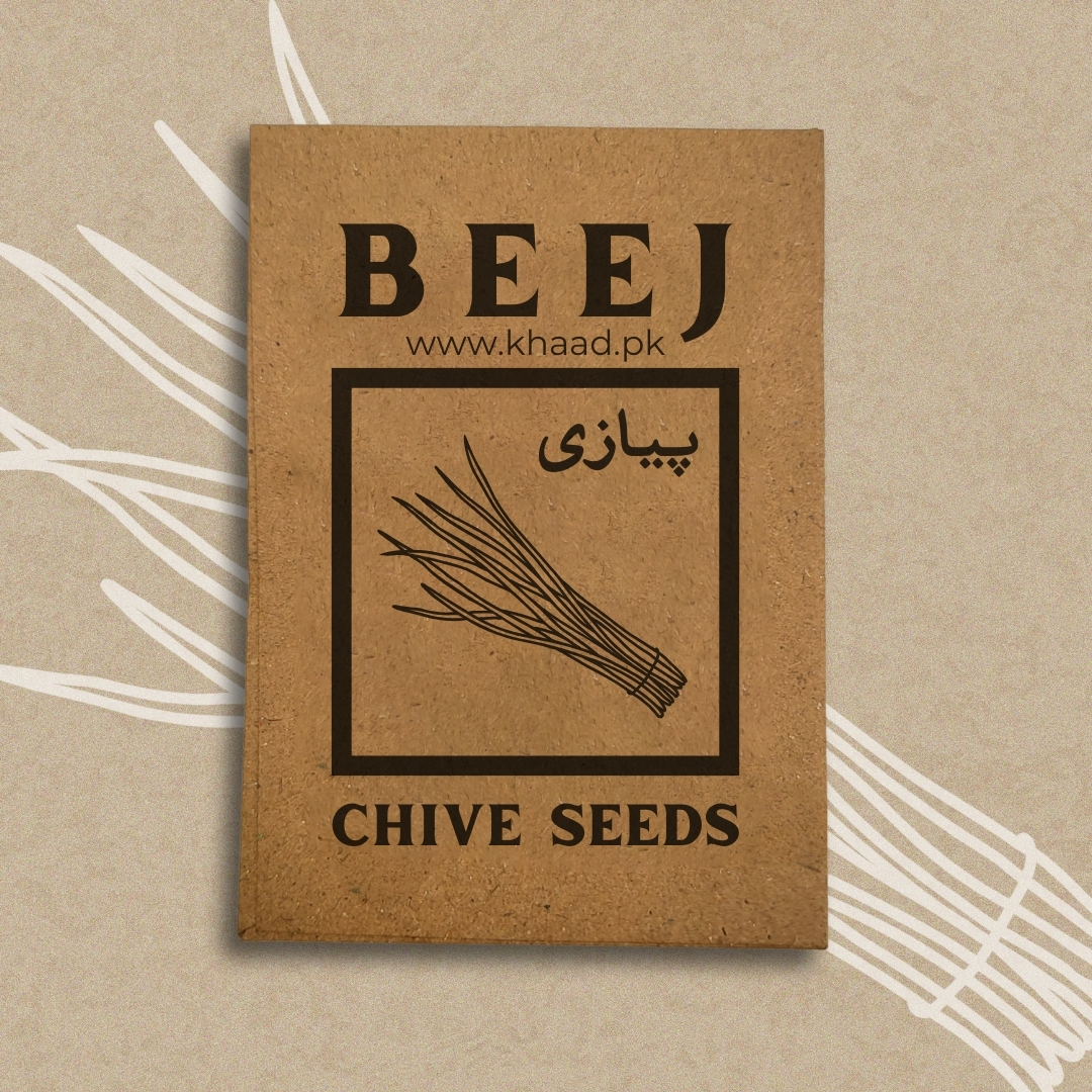 Chive-Herb-Seeds-Pack-lahore-pakistan