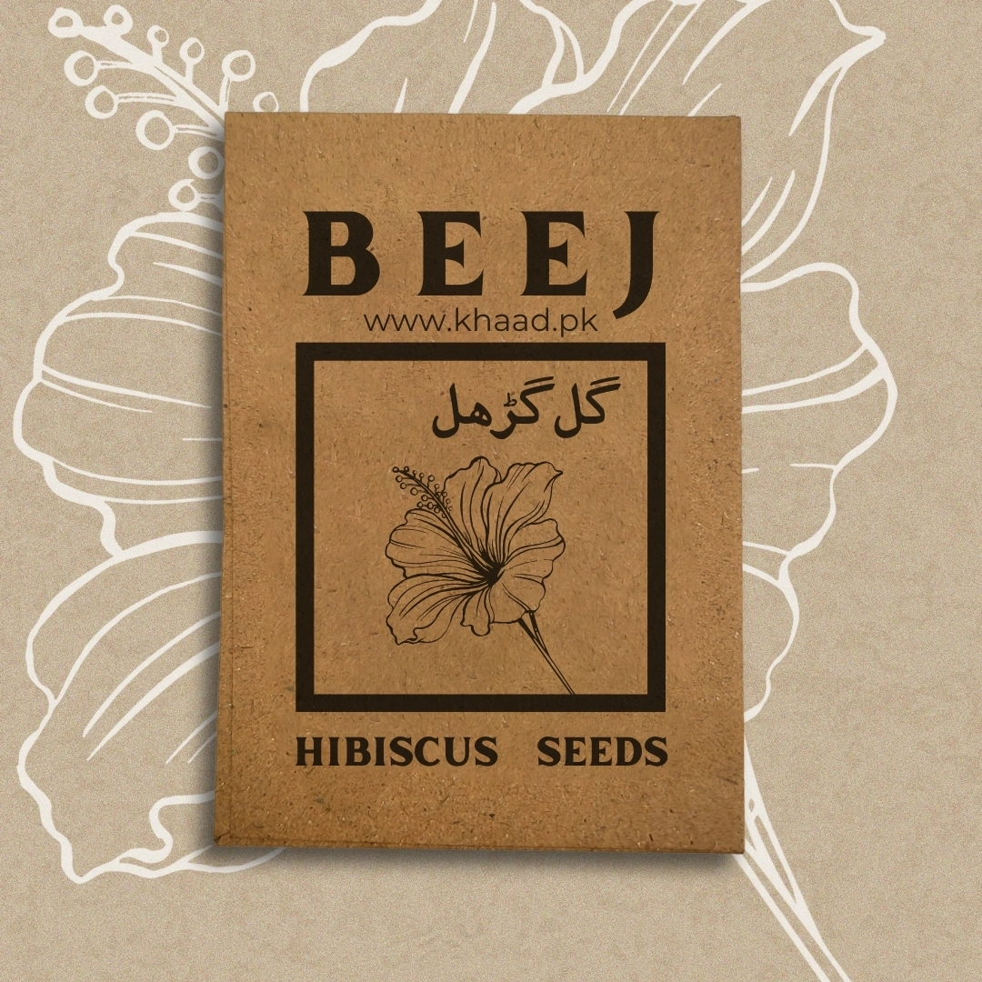 Hibiscus-flowers-seeds-pack-by-khaadpk