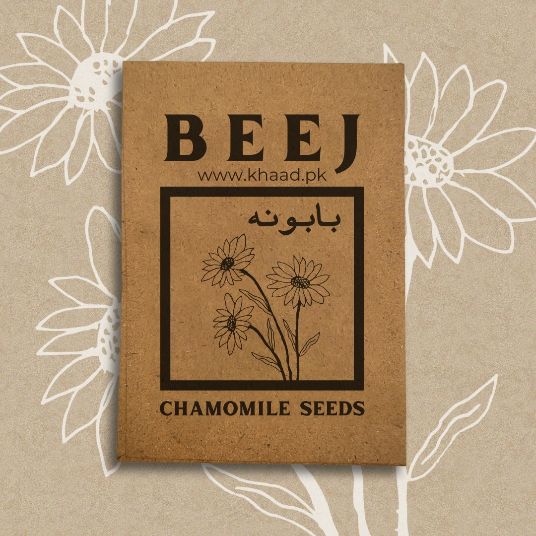 Chamomile-seeds-pack-by-khaad-pakistan