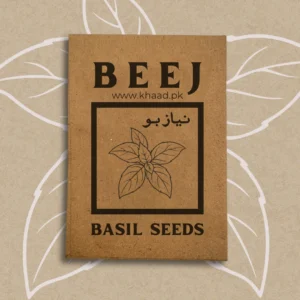 Basil-herb-seeds-for-organic-gardening