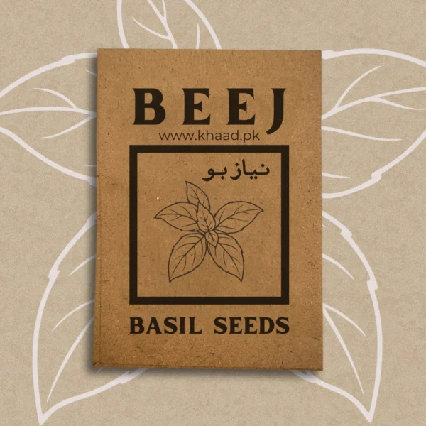 Basil-herb-seeds-for-organic-gardening