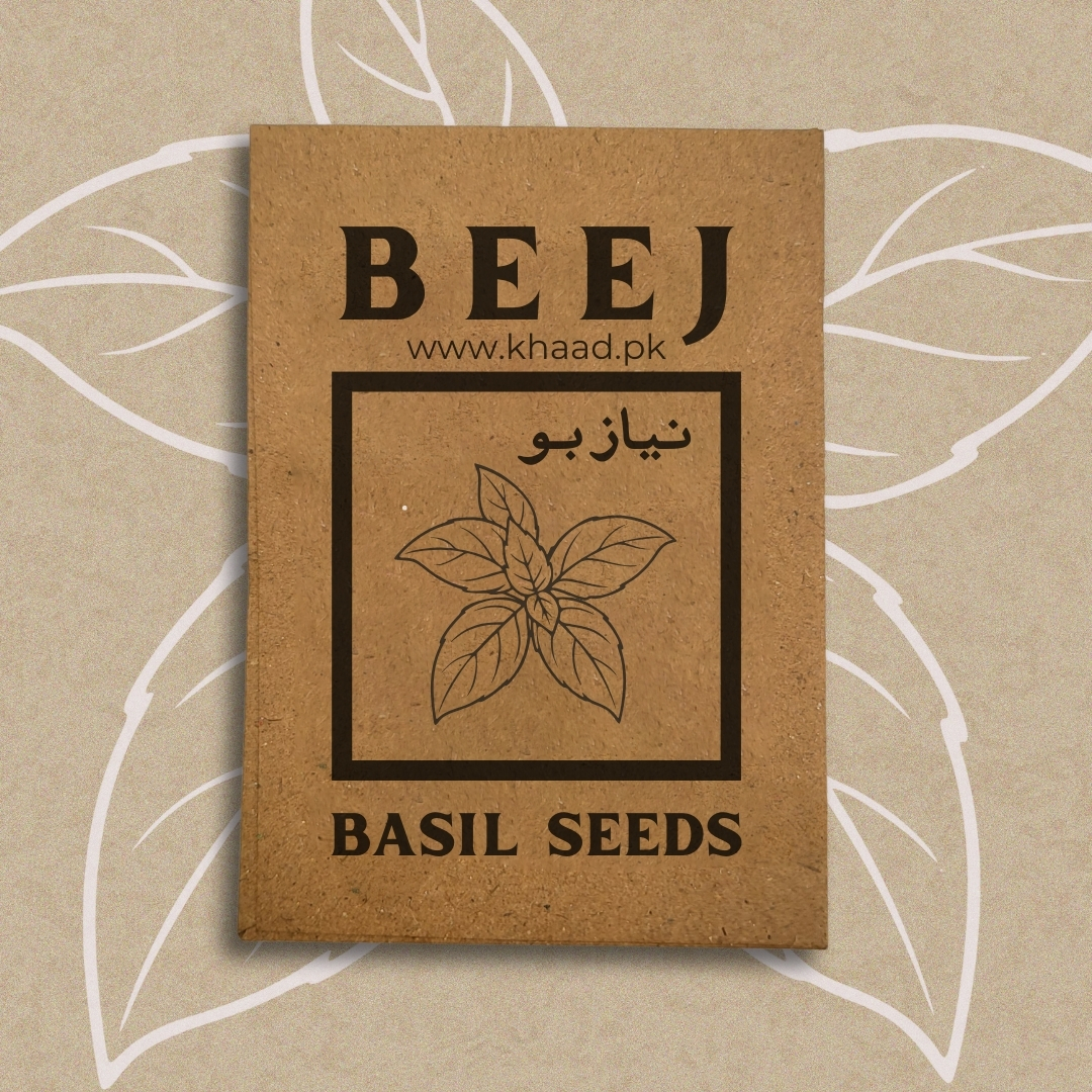 Basil-herb-seeds-for-organic-gardening
