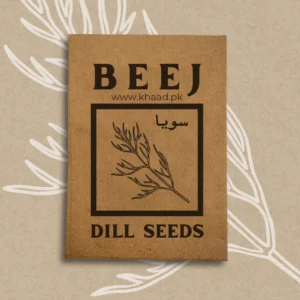 Dill-seeds-online-buy-khaadpk-kitchen-gardening