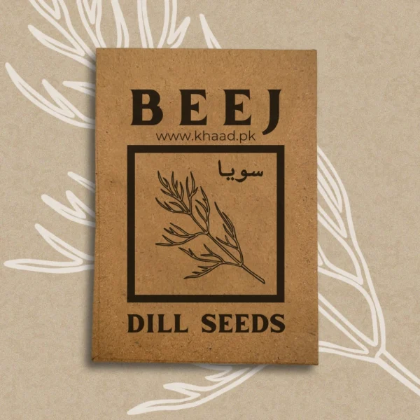 Dill-seeds-online-buy-khaadpk-kitchen-gardening