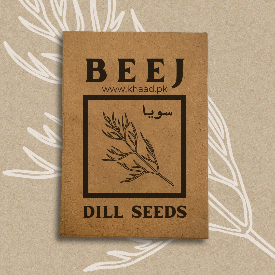 Dill-seeds-online-buy-khaadpk-kitchen-gardening