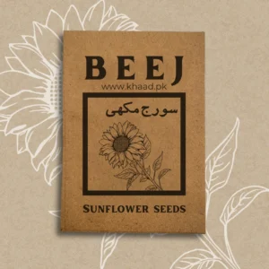 Sunflower-seeds-suraj-mukhi-beej-by-khaadpk-lahore
