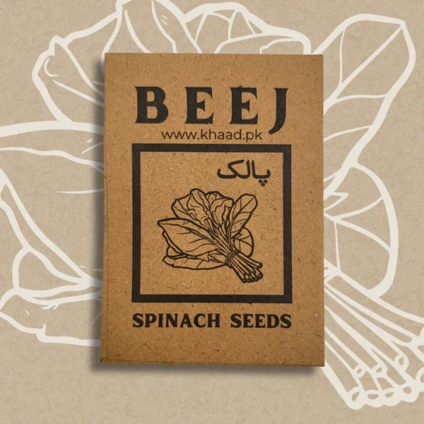 Spinch-seeds-by-khaadpk-for-leafy-vegetable
