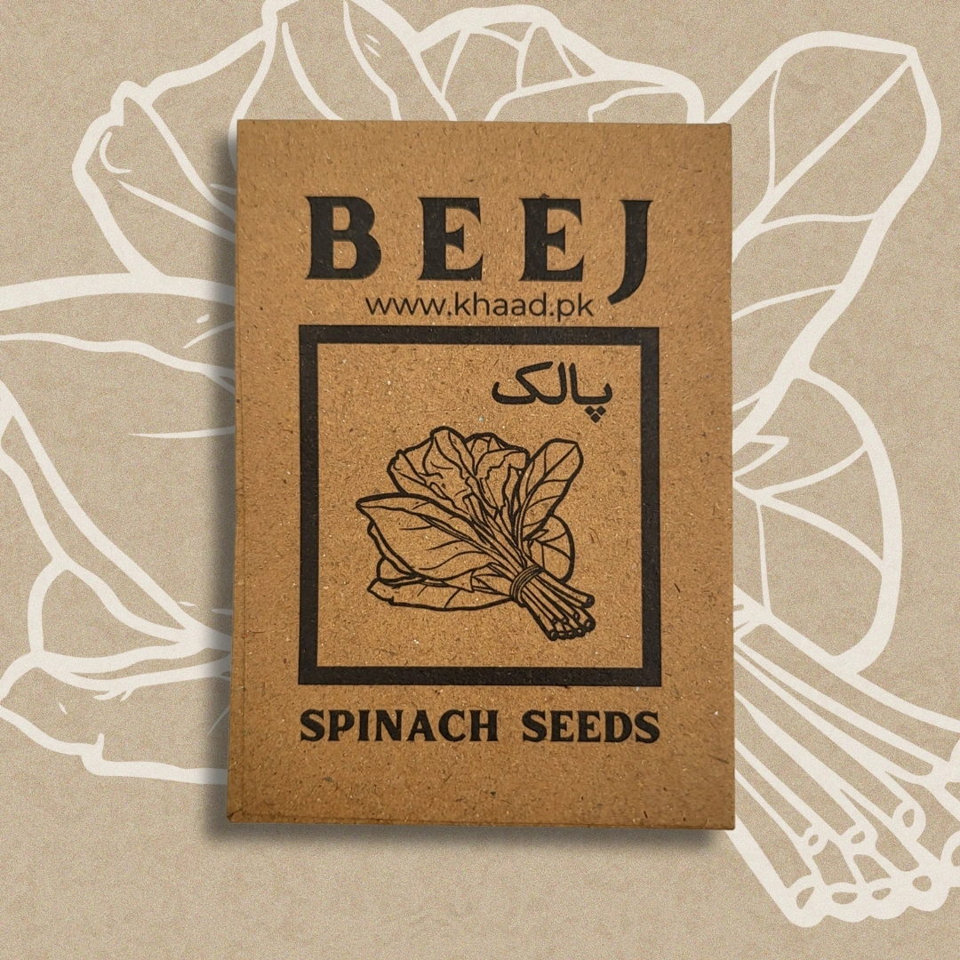 Spinch-seeds-by-khaadpk-for-leafy-vegetable