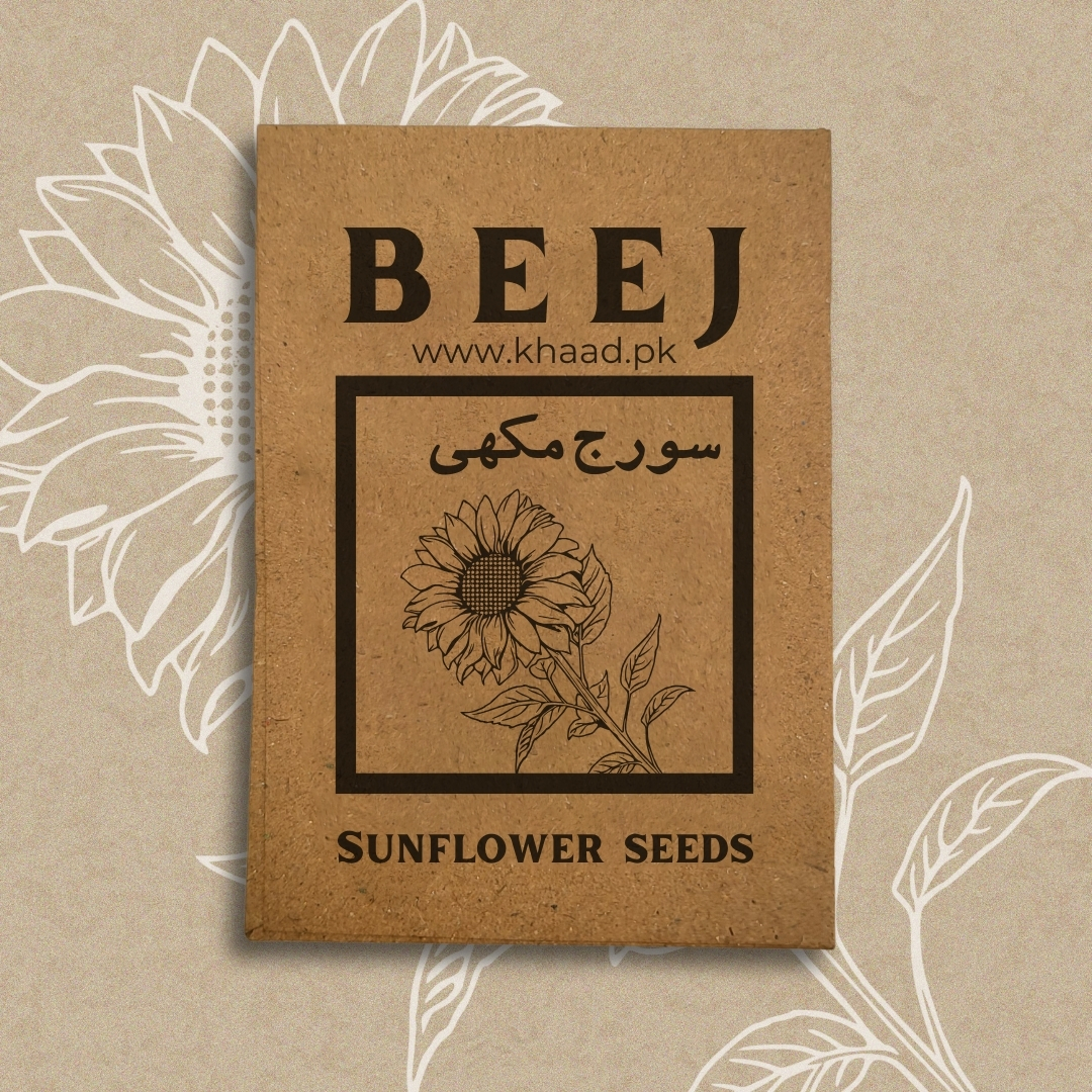Sunflower-seeds-suraj-mukhi-beej-by-khaadpk-lahore