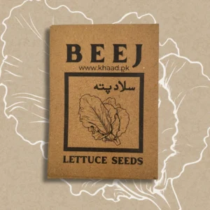 Lettuce-seeds-pack-buy-online-by-khaadpk