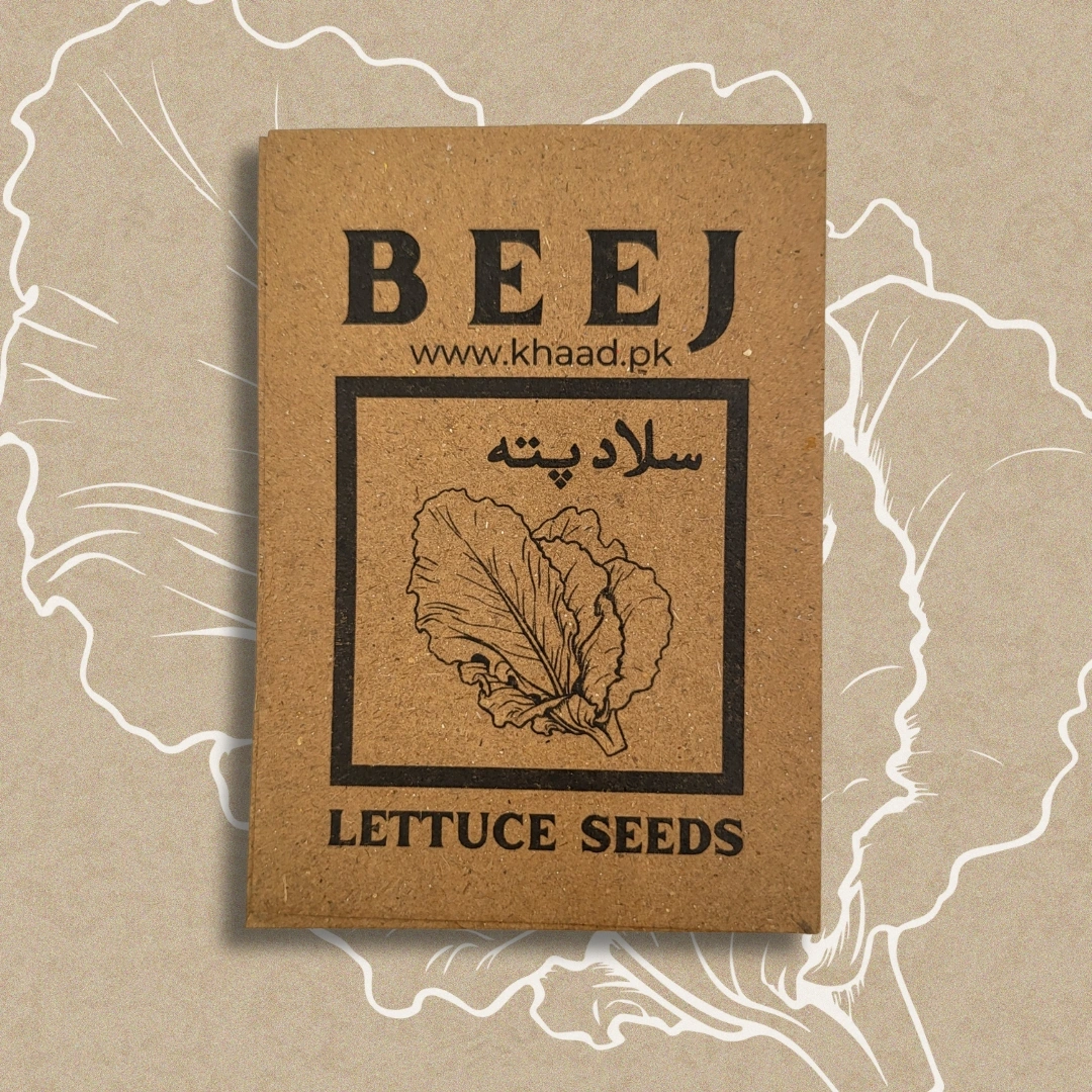 Lettuce-seeds-pack-buy-online-by-khaadpk