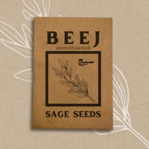 Sage-seeds-fresh-organic-growth-khaadpk